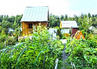 Садовые товарищества получили из областного бюджета почти 10 млн рублей
